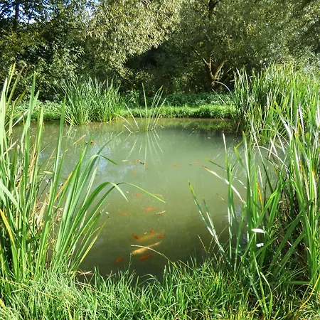 Ferienpark Schwarzholz